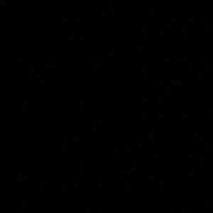 Meet your Posher, Aliza